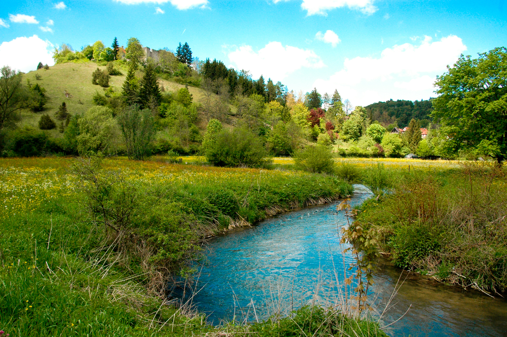 a view of the Swabian Alps....beautiful stream, hills, deciduous and pine trees.  This is where Andreas Rath was born and spent his early days 