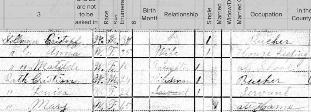 1880 Federal Census snapshot